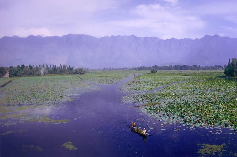 Srinagar